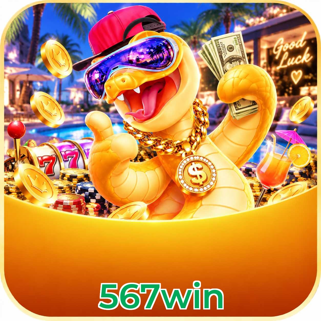 Cassino ao vivo 567win com dealers brasileiros e streaming 4K